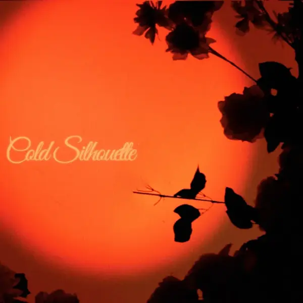 COLD SILHOUETTE
