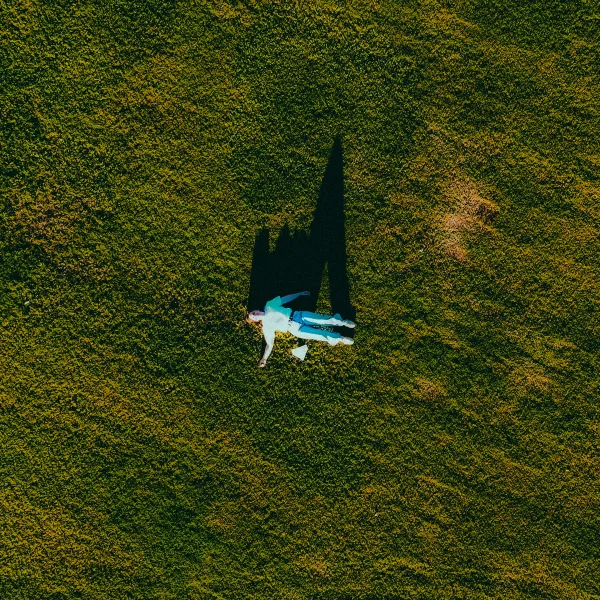 PAPER PLANES